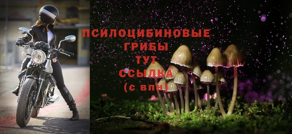 винт Гусев