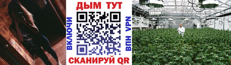 купить наркотики цена  Мезень  Каннабис индика 